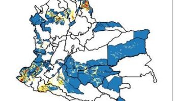De la anarquía a la Reconstrucción de Colombia