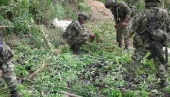 Una guerra de papel