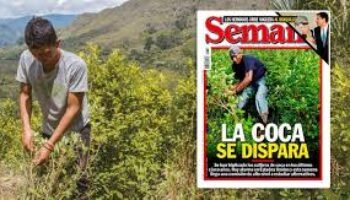 Opinan los que saben… (3)