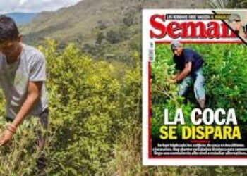 Opinan los que saben… (3)