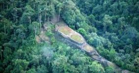 Parques nacionales naturales colombianos: ¿de santuarios de flora y fauna a santuarios de las economías ilegales?