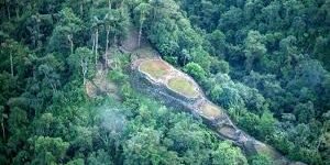 Parques nacionales naturales colombianos: ¿de santuarios de flora y fauna a santuarios de las economías ilegales?