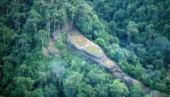 Parques nacionales naturales colombianos: ¿de santuarios de flora y fauna a santuarios de las economías ilegales?
