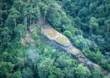Parques nacionales naturales colombianos: ¿de santuarios de flora y fauna a santuarios de las economías ilegales?