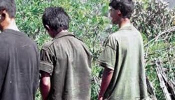 Las Farc asesinaron a 39.700 niños reclutados: Federación Colombiana de Víctimas