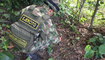 Más de un millón de metros cuadrados de tierras colombianas libres de minas antipersonal en seis meses