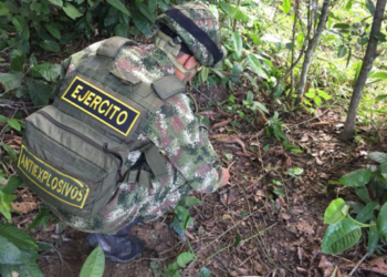 Más de un millón de metros cuadrados de tierras colombianas libres de minas antipersonal en seis meses