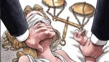 Opinan los que saben… (12)