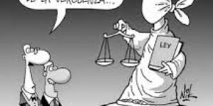 Opinan los que saben … (11)