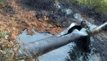 Colombia: siete atentados al oleoducto Caño Limón-Coveñas en menos de una semana