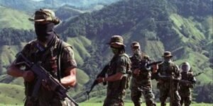 Colombia: 61 masacres en 2020 dejan 248 víctimas