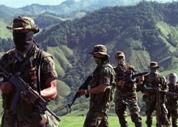 Colombia: 61 masacres en 2020 dejan 248 víctimas