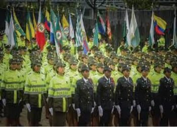 ¿“Reformar” la policía a gusto de sus enemigos?