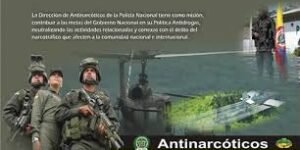 Policía Nacional destruye 63 laboratorios de coca en el Cauca y Caquetá