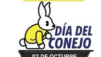 Aniversario de la democracia burlada