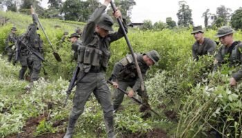 Disidencias, Eln y ‘clan del Golfo’, los que atacan a erradicadores
