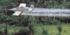 El riesgo del glifosato