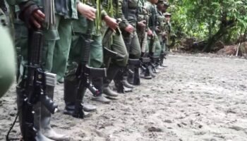 «Disidencias» de las FARC culpables de asesinato de excombatientes