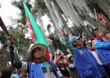 Por favor, lean el Acuerdo de Escazú