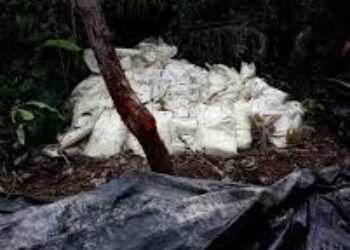 Incautan más de dos toneladas y media de cocaína de las Farc en Nariño