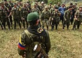 Putumayo, Loreto: El auge de la coca y los disidentes de las FARC