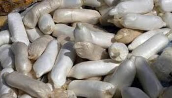 El narcotráfico es causa y no efecto