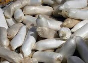 El narcotráfico es causa y no efecto