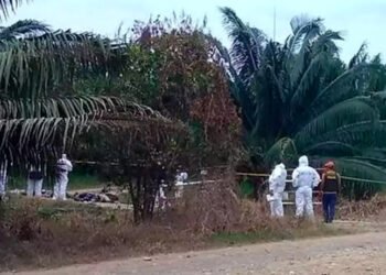 Masacre en Colombia: cinco jóvenes asesinados en Valle del Cauca