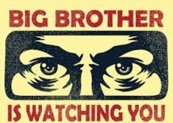 Orwell en el siglo XXI: nazismo virtual