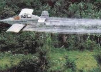 Sugerencias al gobierno para el 2021 (II)