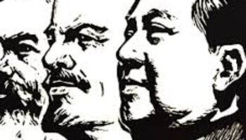 Reduccionismo y enajenamiento político