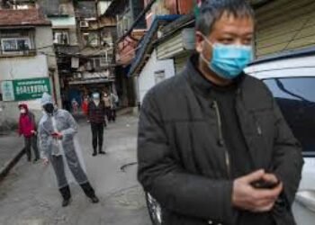 Mentiras y terrorismo