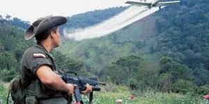 ¿Aspersión aérea o reinado de coca?