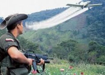 ¿Aspersión aérea o reinado de coca?