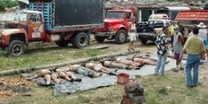 Los “errores” de las Farc