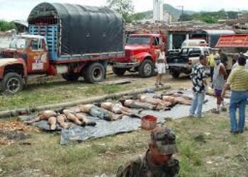 Los “errores” de las Farc