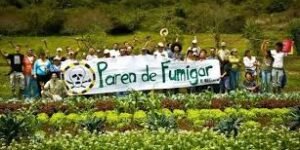 La fumigación en Colombia aumentará la inseguridad regional