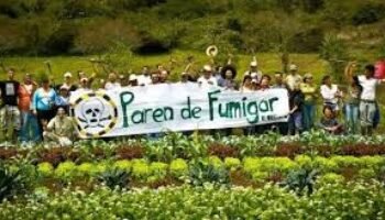 La fumigación en Colombia aumentará la inseguridad regional