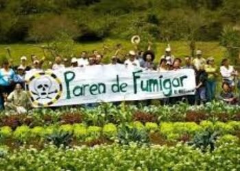 La fumigación en Colombia aumentará la inseguridad regional