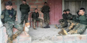 La ominosa foto de la humillación