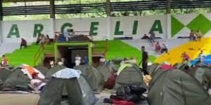 Cauca: 2.500 desplazados tras los actos terroristas de las FARC y el ELN
