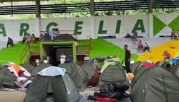 Cauca: 2.500 desplazados tras los actos terroristas de las FARC y el ELN