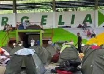 Cauca: 2.500 desplazados tras los actos terroristas de las FARC y el ELN