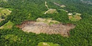 El narcotráfico causa más daño que la aspersión aérea con glifosato