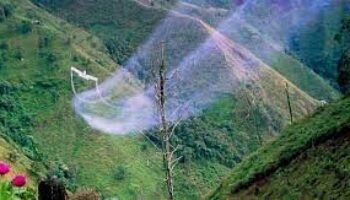 La hipócrita oposición al glifosato