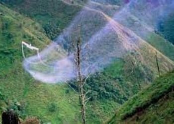 La hipócrita oposición al glifosato