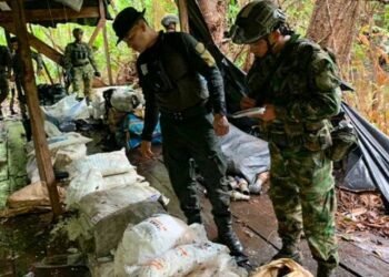 Policia destruye tres laboratorios e incauta cerca de una tonelada de cocaína y un semisumergible de las Farc