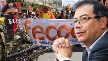 PREGUNTAS A GUSTAVO PETRO!