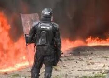 *Colombia. Una narco-revolución en marcha*