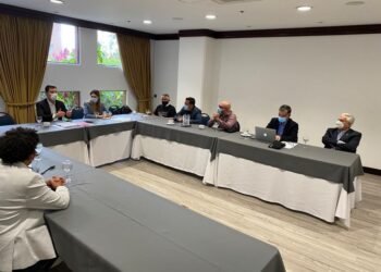 ¿Para qué es la tutela?